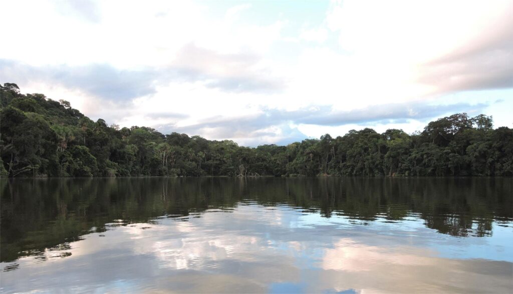 Madidi National Park and Integrated Natural Management Area