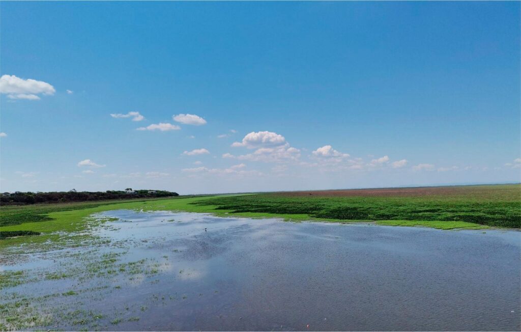 Otuquis National Park and Integrated Natural Management Area