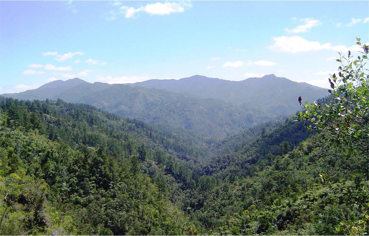 Parc national Pico La Bayamesa