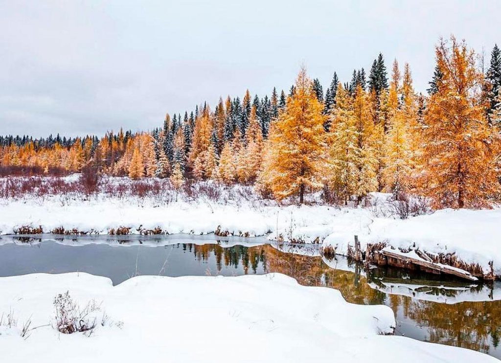Prince Albert National Park