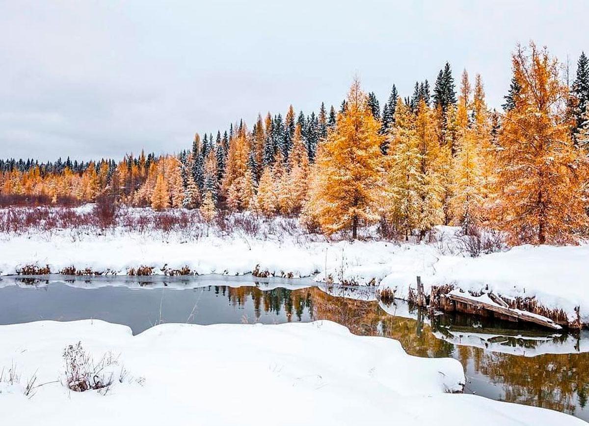 Parc national de Prince Albert