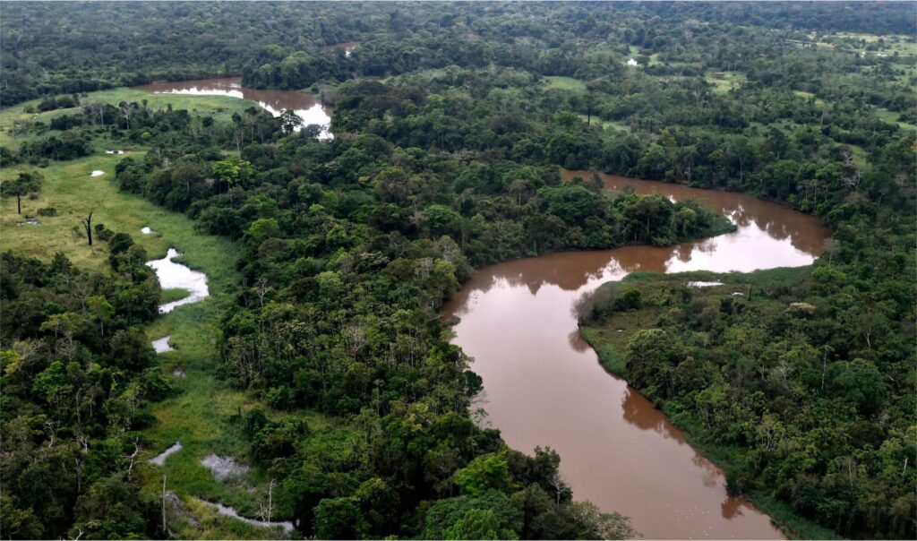 Manuripi Heath Amazonian Wildlife National Reserve