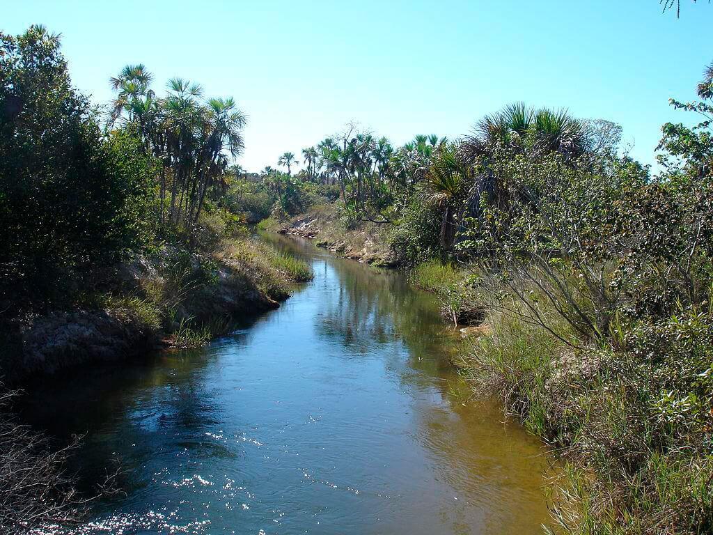 River in Grande Sertão Veredas National Park
