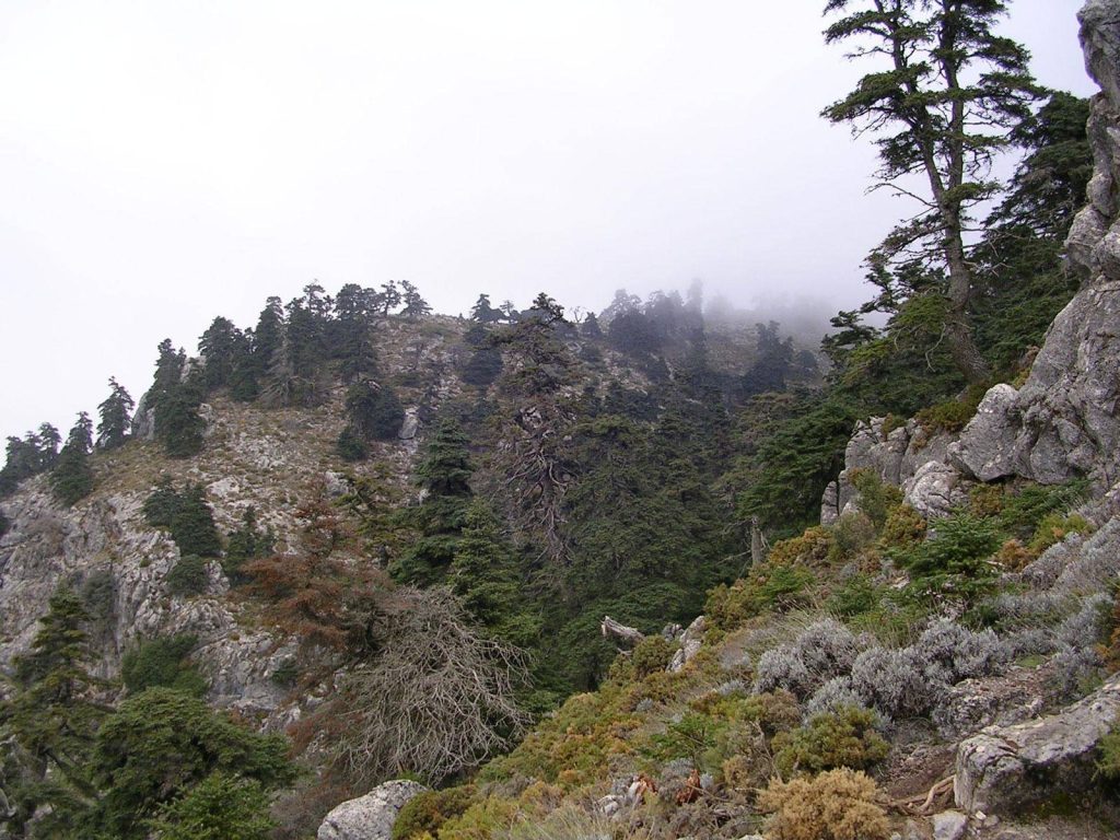 Sierra de las Nieves National Park