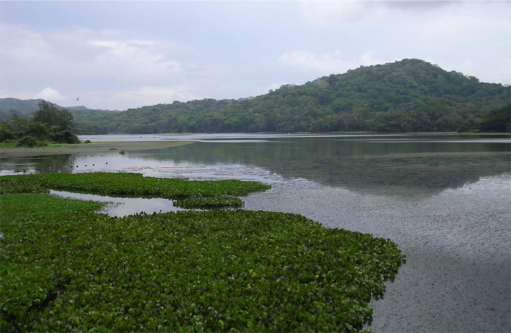 Soberanía National Park