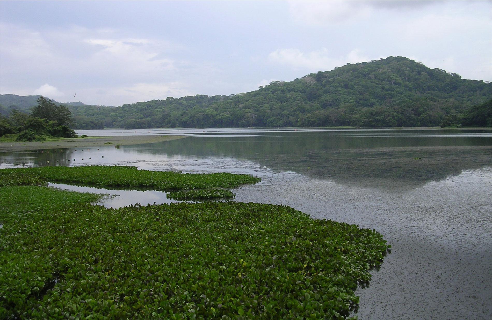Parc national de Soberanía