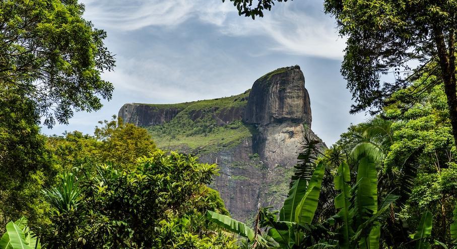 Tijuca National Park