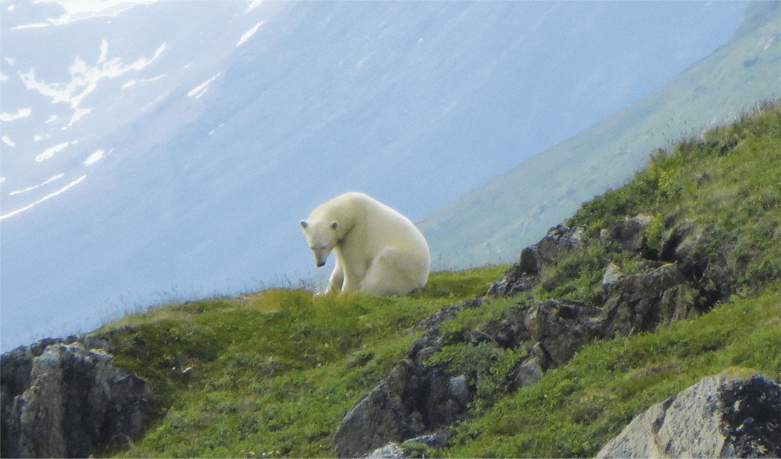 Parc national des Monts-Torngat