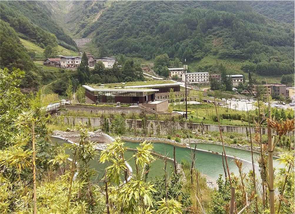 Vallée de Wolong, Chine
